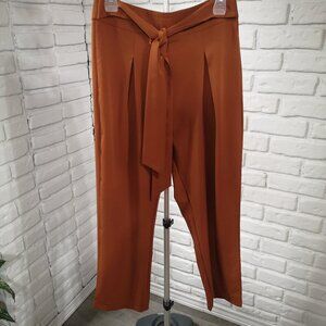 Shein Ladies Size Medium Rust Color Tie Front Straight Leg Back Zipper Pants